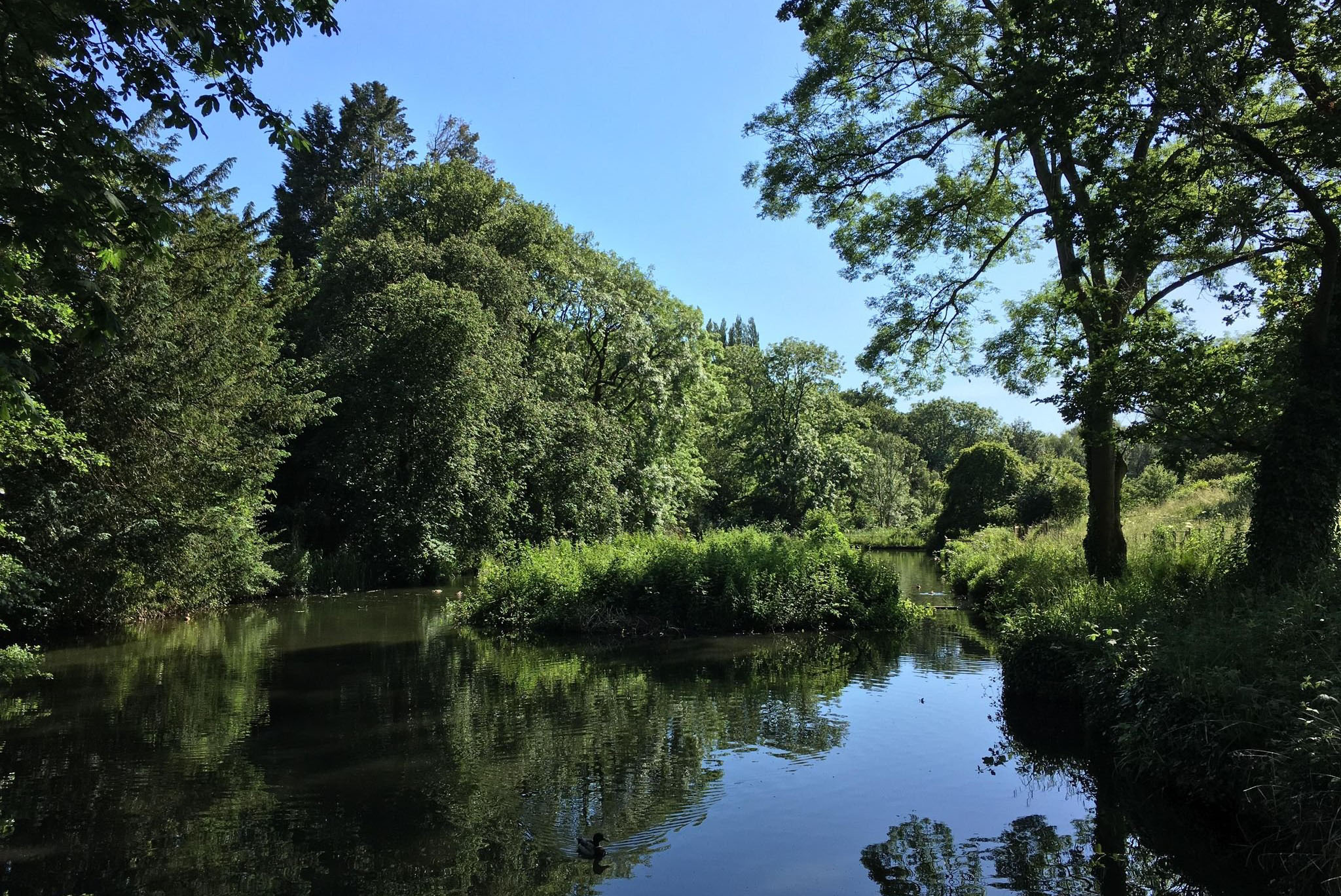 Mysterious underwater acoustic world of British ponds revealed in new study